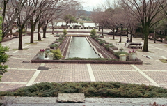 またいつもの植物園へ