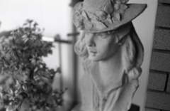 ピンずれした画像