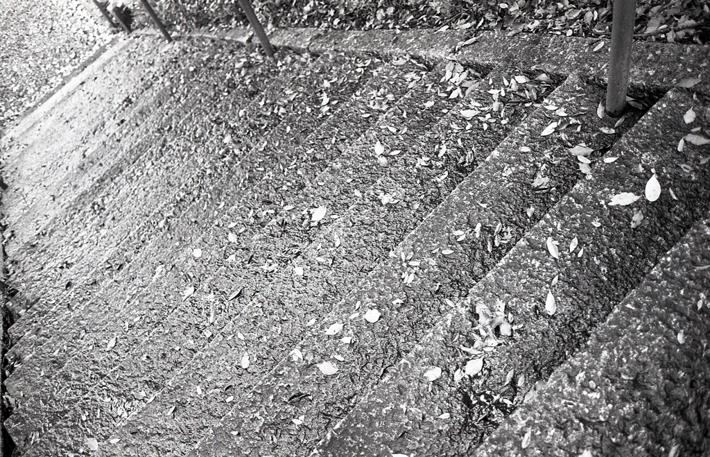 雨降り散歩　～AGFA（アグファ）の散歩道