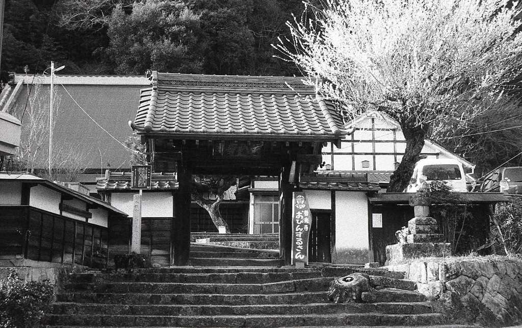 曹洞宗「普光寺」
