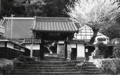曹洞宗「普光寺」