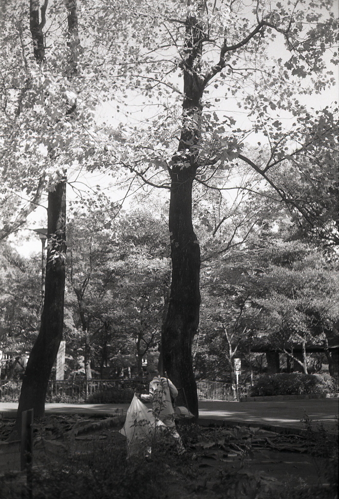公園の秋風景　　～東京モノクロ