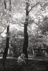 公園の秋風景　　～東京モノクロ