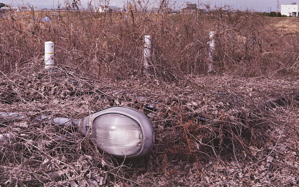 横たわる水銀灯