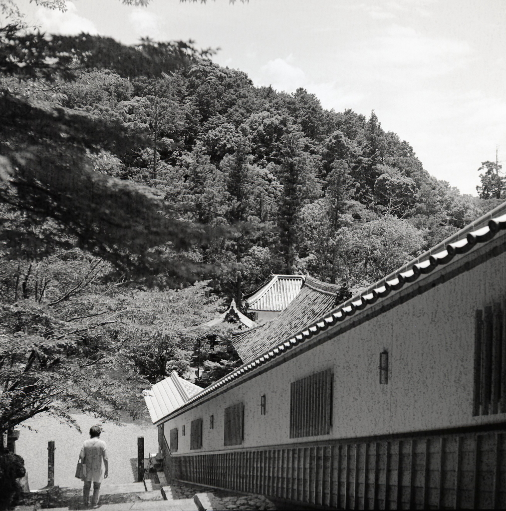 回廊を見下ろす風景（モノクロブローニ版）