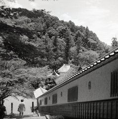 回廊を見下ろす風景（モノクロブローニ版）