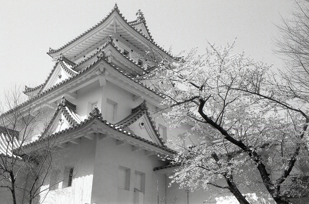 城の春　～モノクロ編
