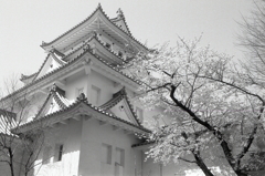 城の春　～モノクロ編