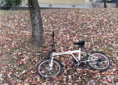 落ち葉と自転車の風景