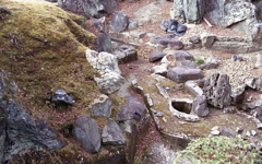 枯山水回遊式庭園