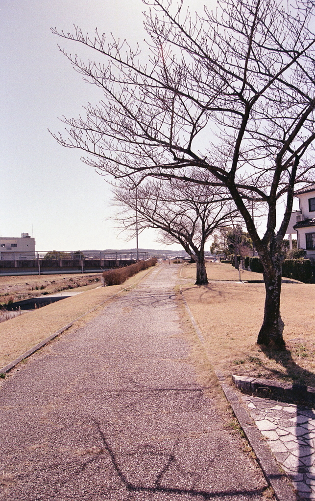 とにかく歩かなきゃ…