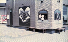 パンダもいました、そして珈琲…