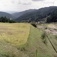 坂折棚田の最頂から風景