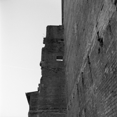 見上げる煉瓦壁