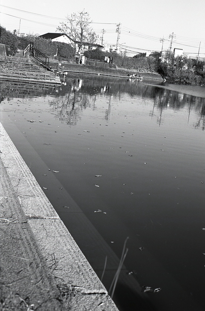 枯葉流れる池になっていた。
