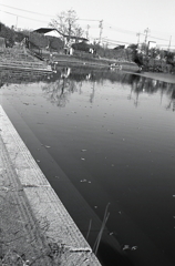 枯葉流れる池になっていた。