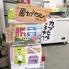 競馬場のガチャガチャ