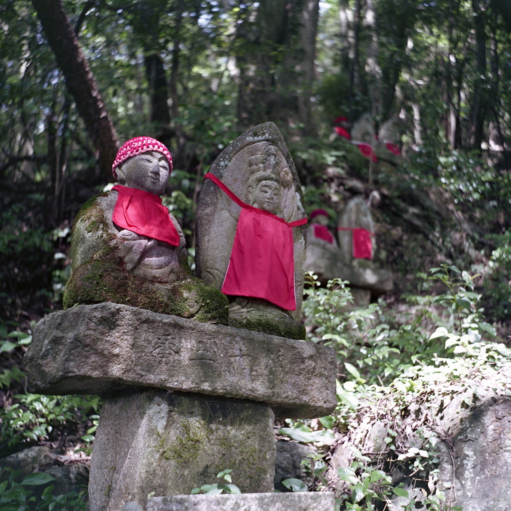 寂光院の参道にて。