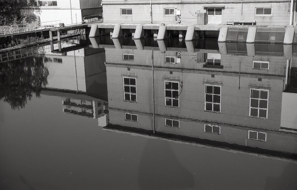 中川運河の水面に映る