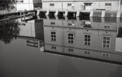 中川運河の水面に映る