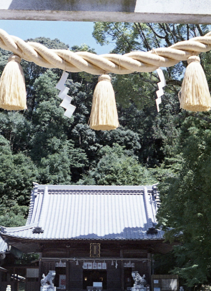 しめ縄のアングル