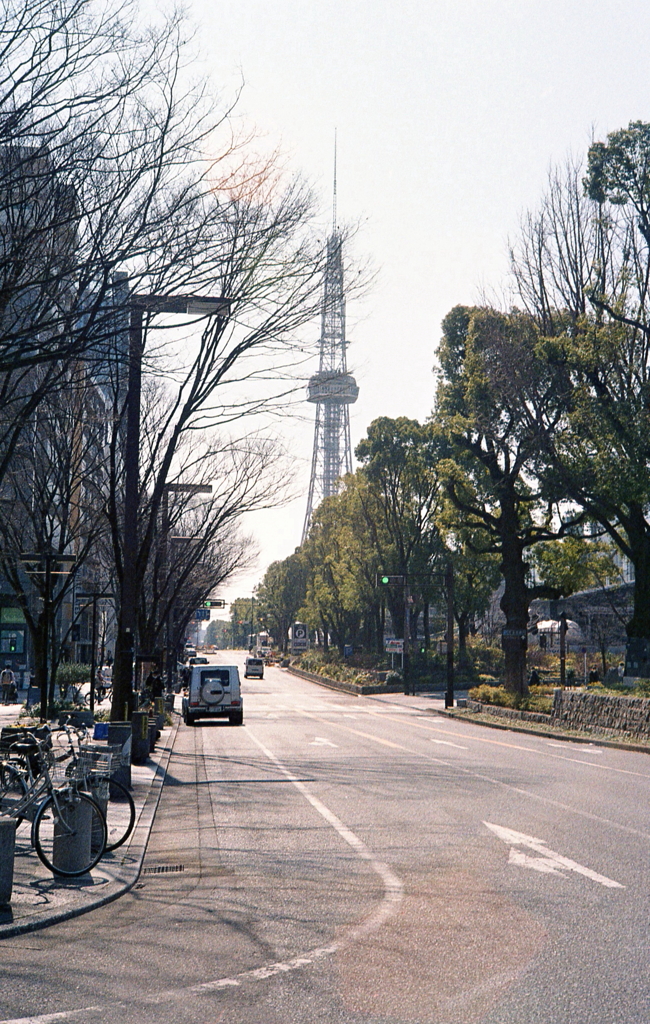セントラルパークとテレビ塔