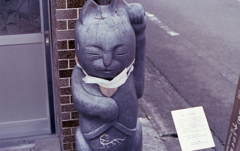 街角の招き猫