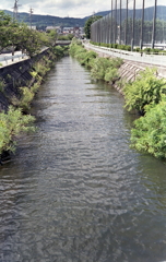 諏訪湖にそそぐ岡谷の河川
