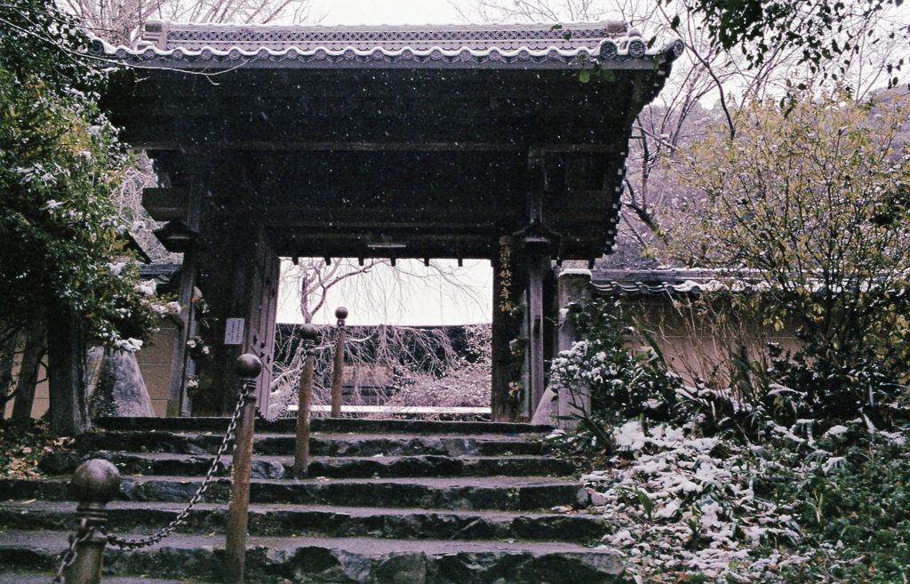 小雪ふる山門