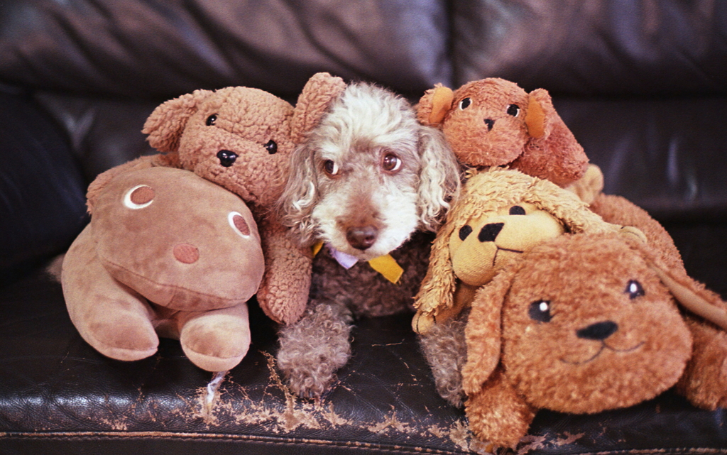 それよりどこか行きたいなぁ…と。