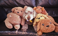 それよりどこか行きたいなぁ…と。