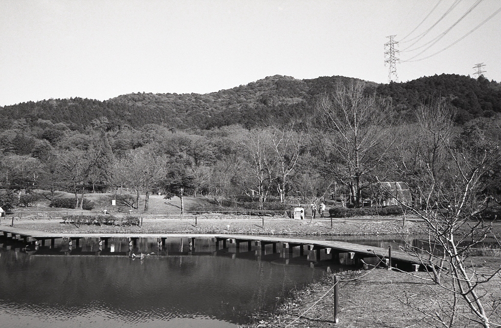 後ろに控えるは弥勒山