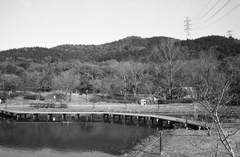 後ろに控えるは弥勒山