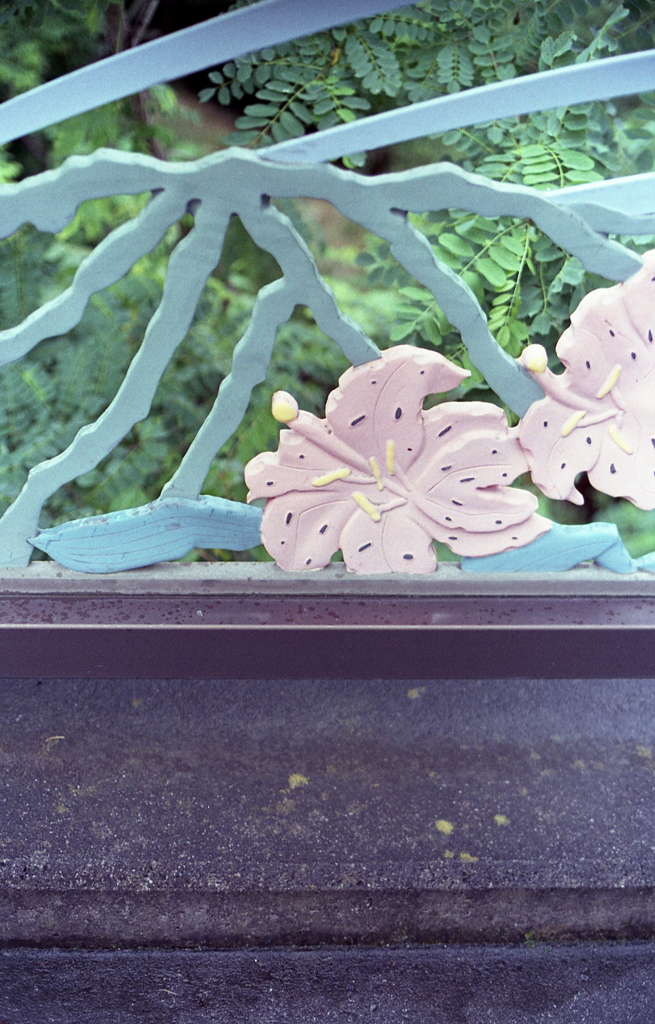 昇龍橋のつつじ