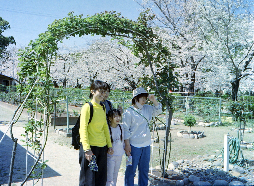 王子のバラ園から桜並木