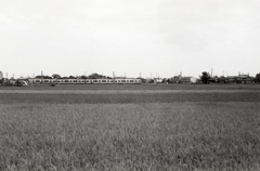 愛西市「電車の走る風景」