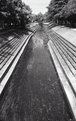 川藻がいっぱいな八田川