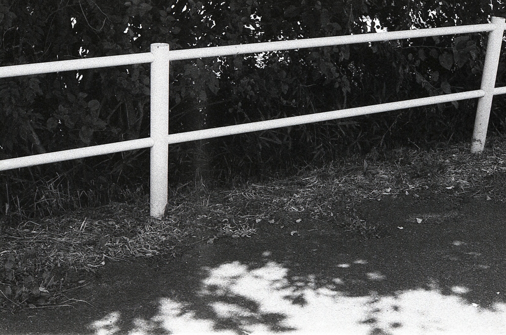 内津川の土手で