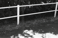 内津川の土手で