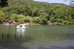 白いボートが眩しかった。　～春日井市都市緑化植物園