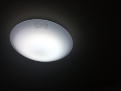 勿体ないから始まった今日は忙しかった。（笑