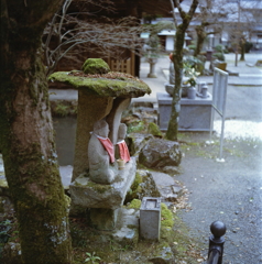 苔生す石傘の地蔵様