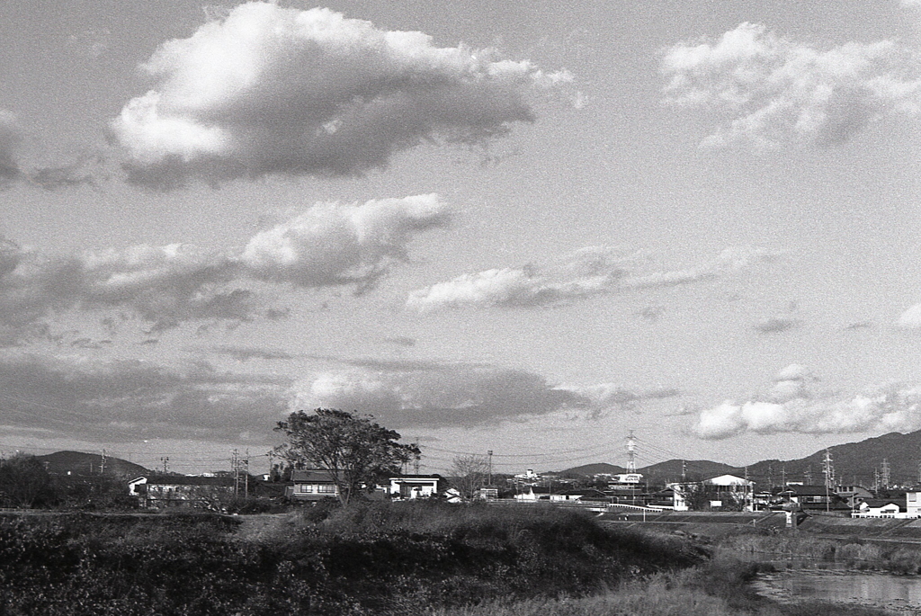 お～い雲よ！　～マリ散歩で…