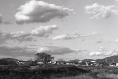 お~い雲よ! ~マリ散歩で… お~い雲よ! ~マリ散歩で…