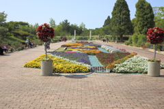 バラ園　～春日井市都市緑化植物園