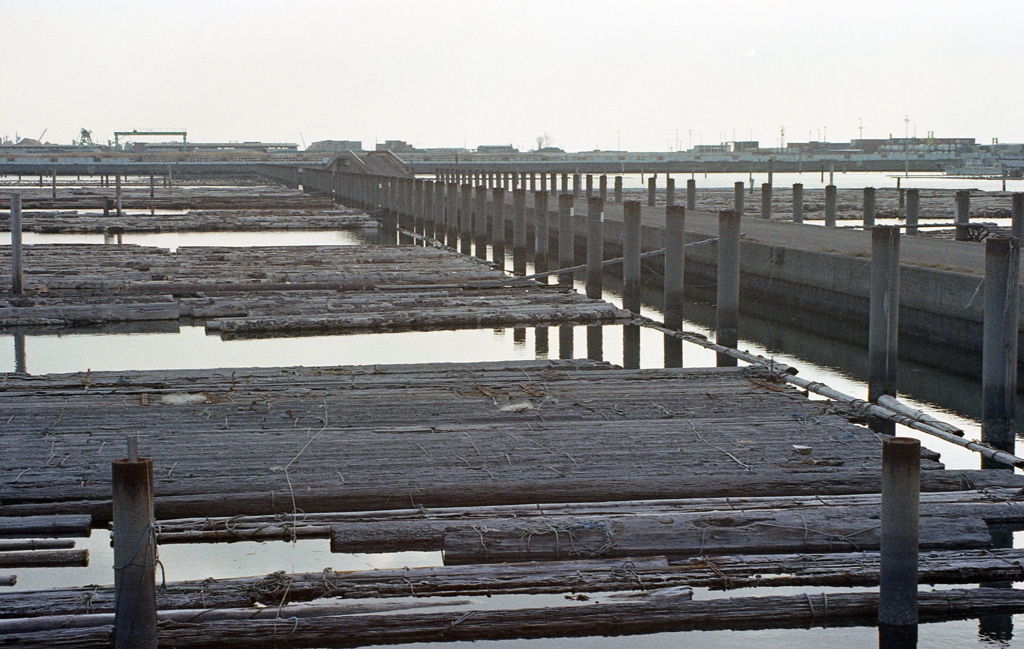 そしてまたここへ来てしまった。