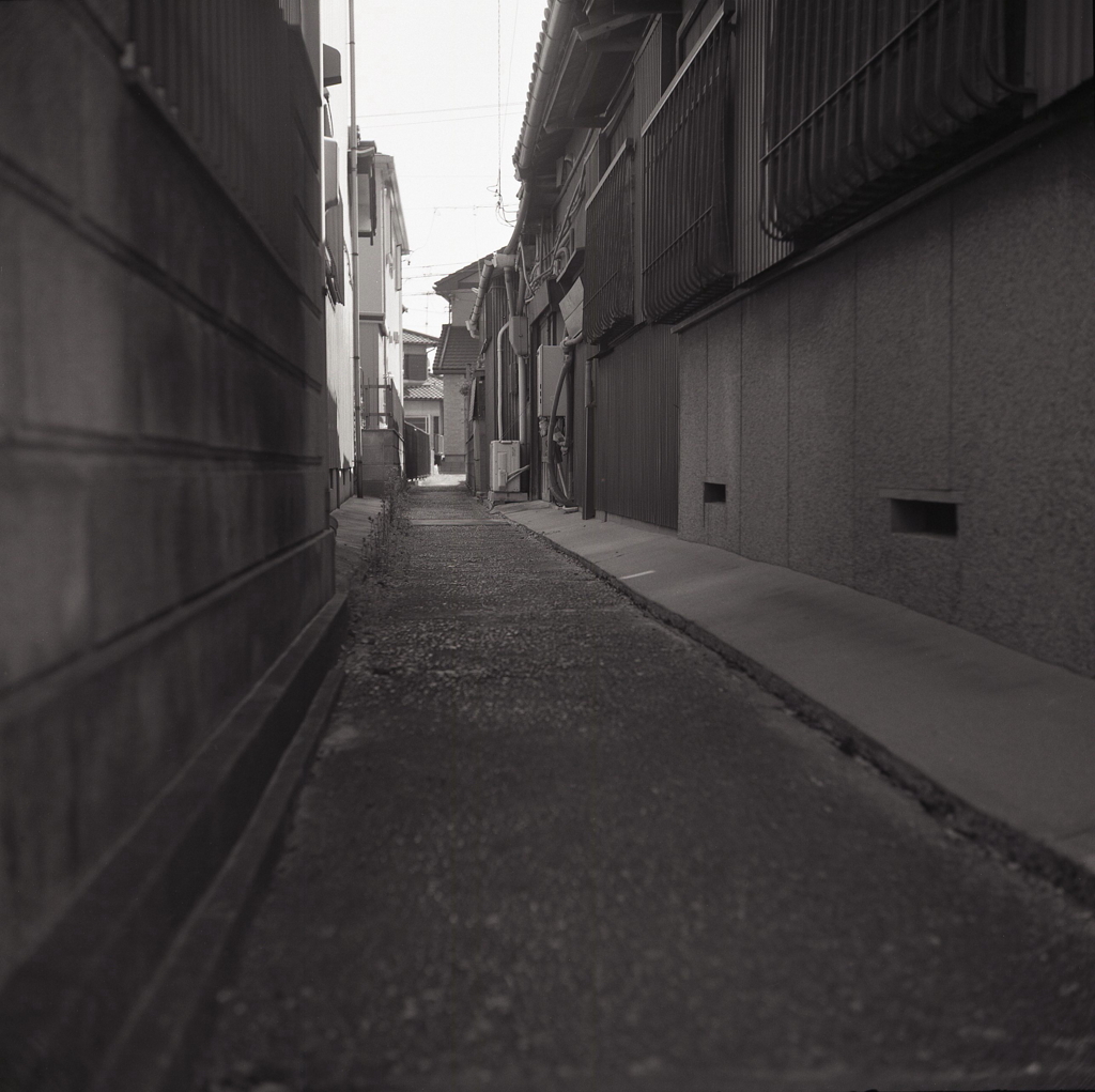 犬走のつづく路地風景