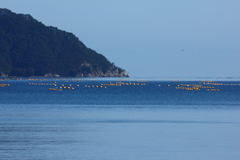 沖に浮玉のある風景
