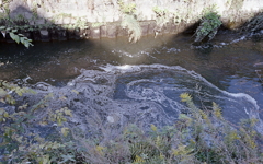 自然に混入する人間の毒