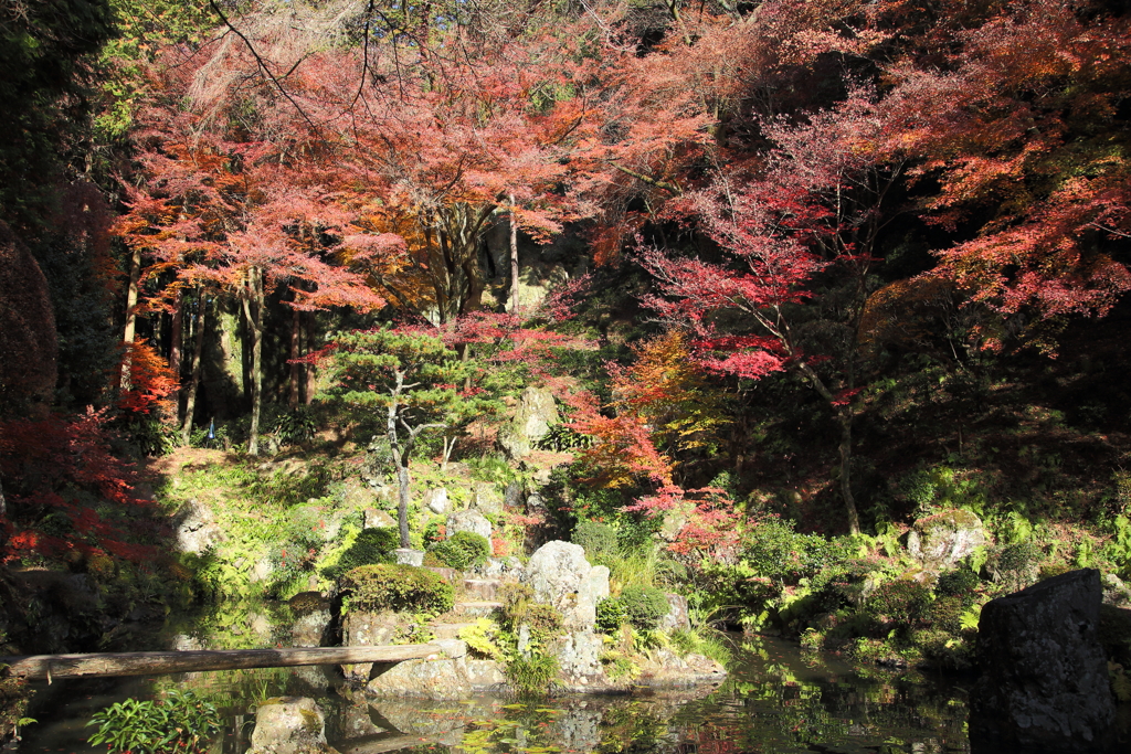 もみじ色の山水庭園